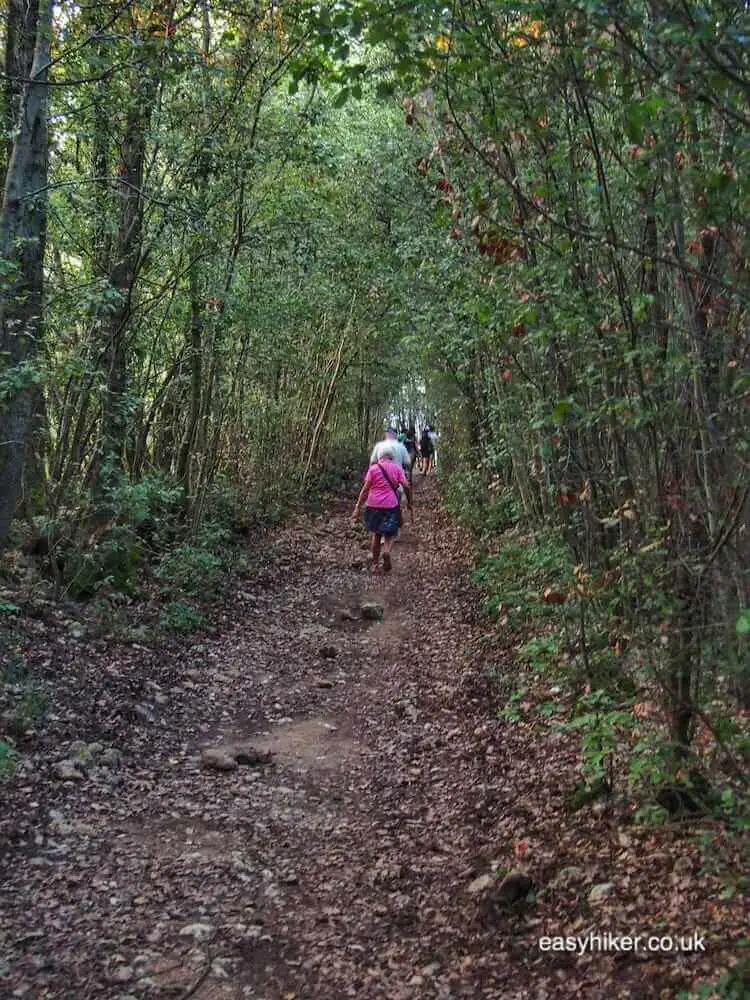 "slow travel hike through the lush mediterrenean forest of Tuscany"