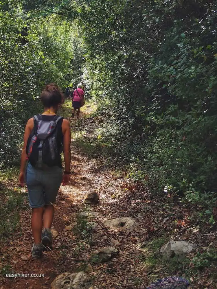 "Forest bathing - Slow travel putting mindfulness in Travel"