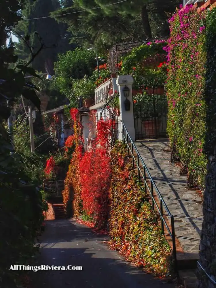 "strada Romana on the way to Alassio"