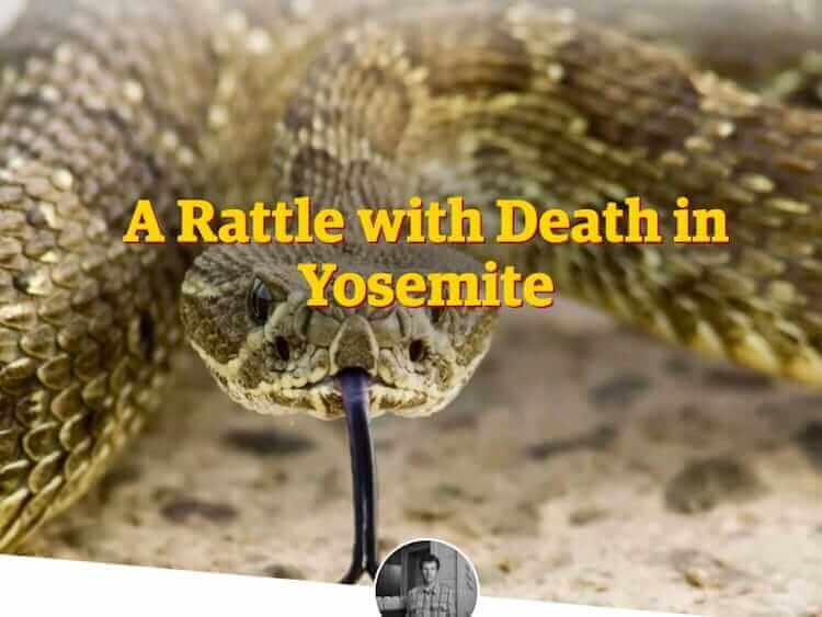 "reading about hiking - surviving a rattlesnake bite"