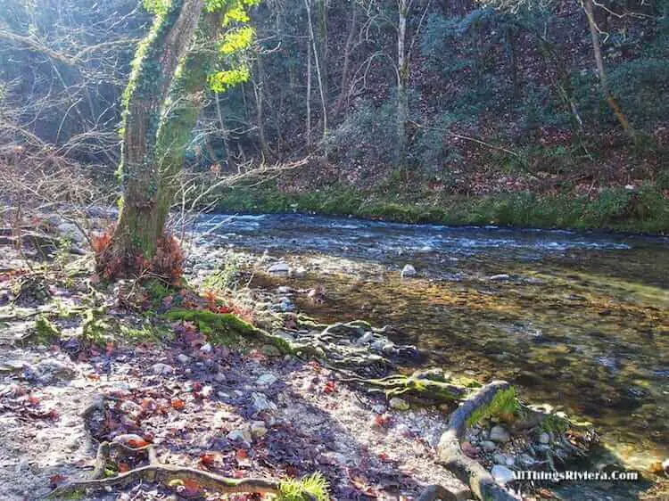 "the banks of the River Loup"