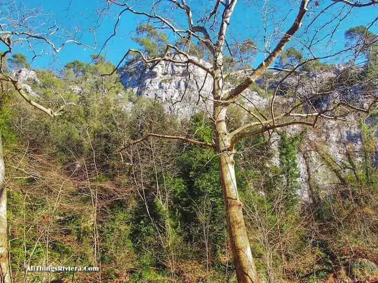 "hilly side along the banks of the River Loup"