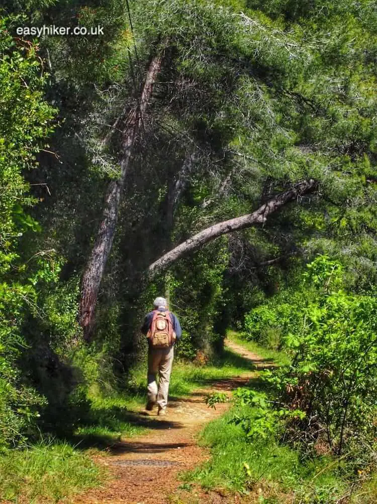 "borderland forests: