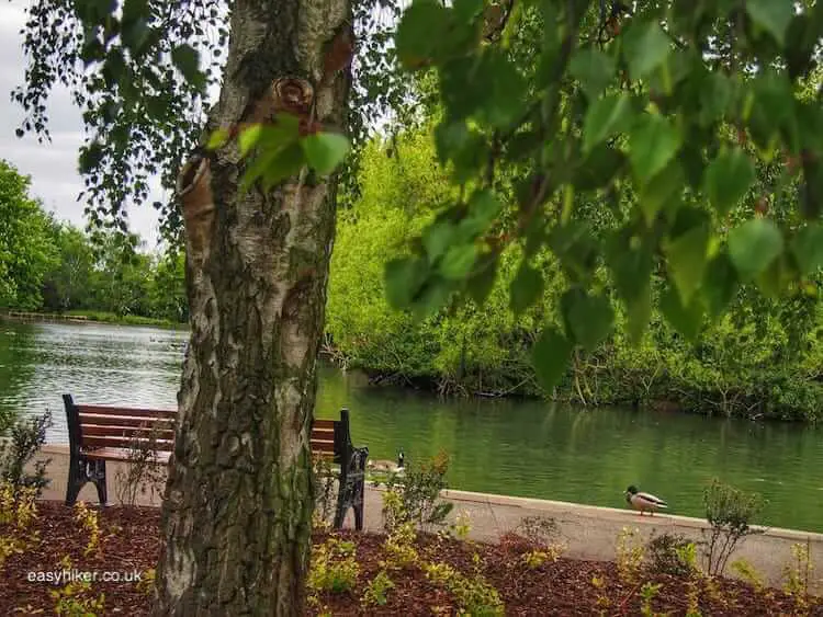 "pond in Ally Pally aka Alexandra Palace"