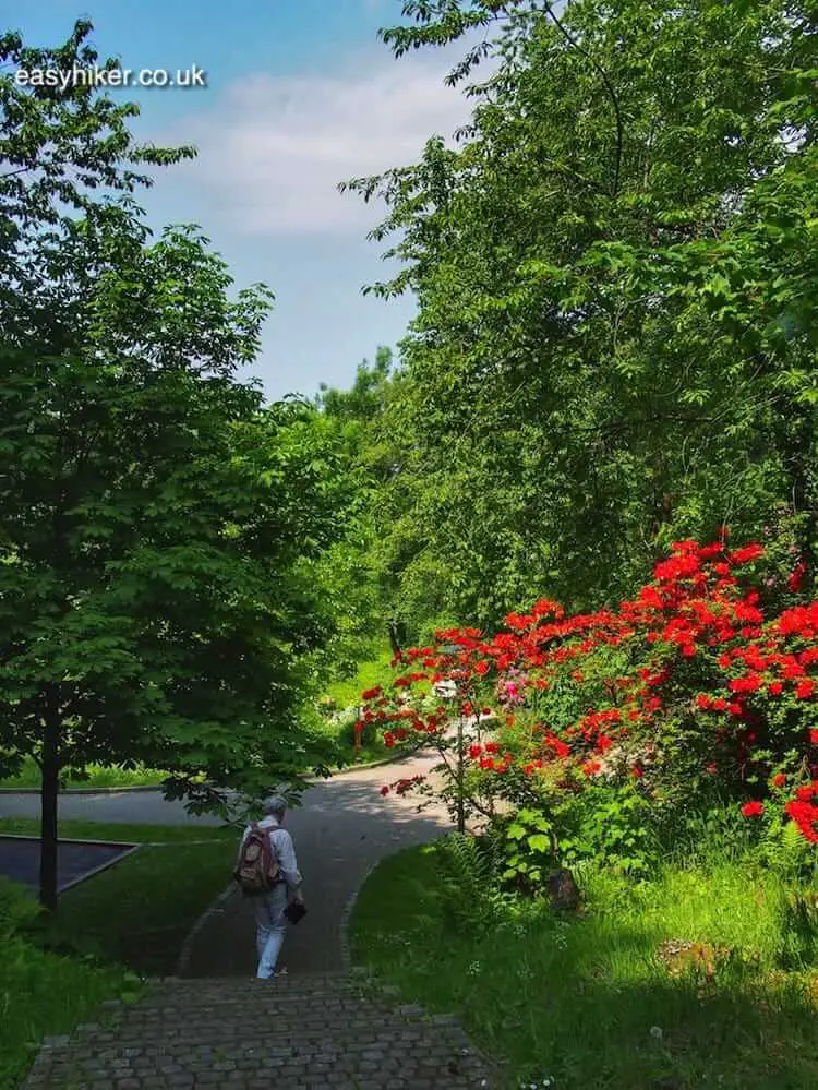 "starting Easy Hiking in Tecklenburg"