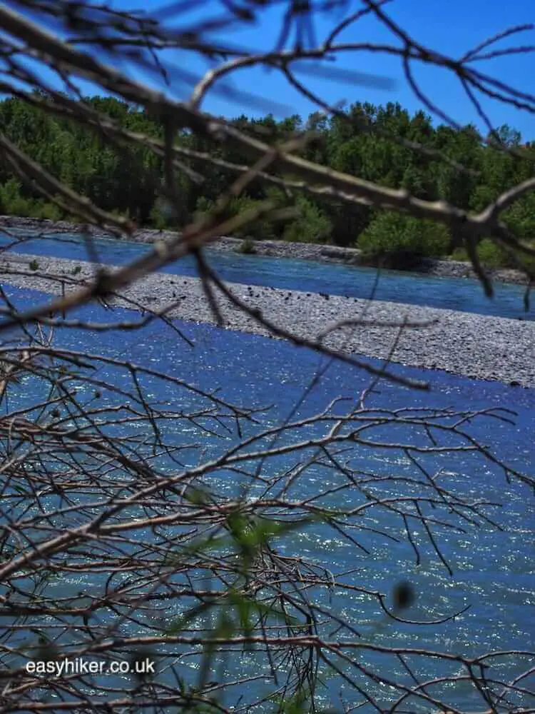 "birds sighted on a river walk along the Var"