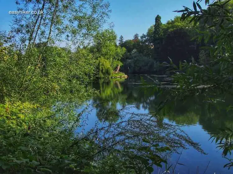 "a feel of the Bayou in Besançon - Between Paris and the Bayou"