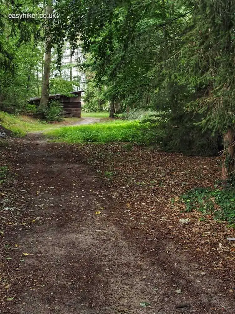 "forests along the Haywain of the Teutoburg Forest" 