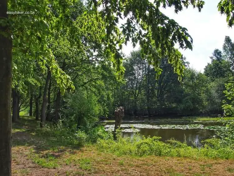 "old tree trunk in a pond along the Haywain of the Teutoburg Forest" 