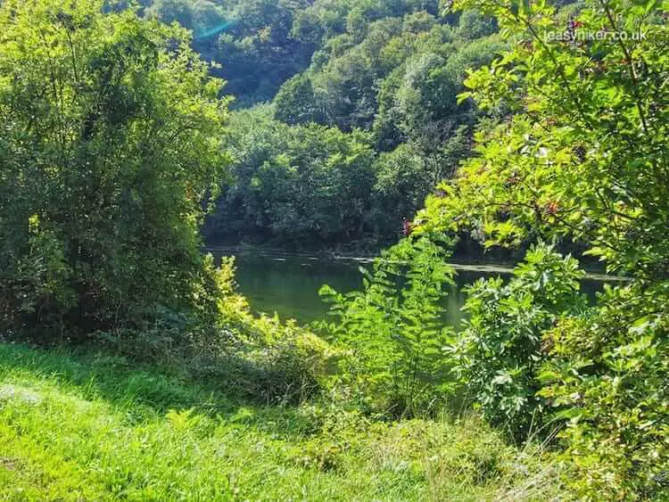 "the wild - Besançon - Between Paris and the Bayou"