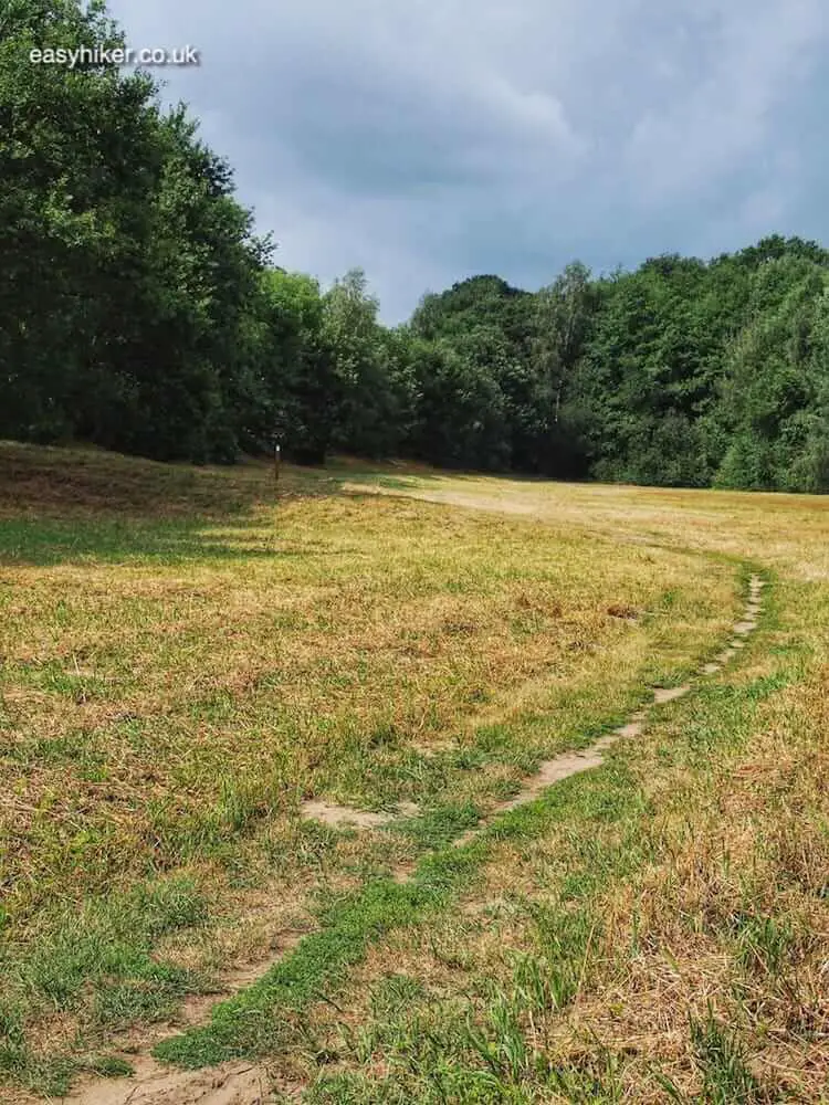 "meadows in te Haywain of the Teutoburg Forest" 