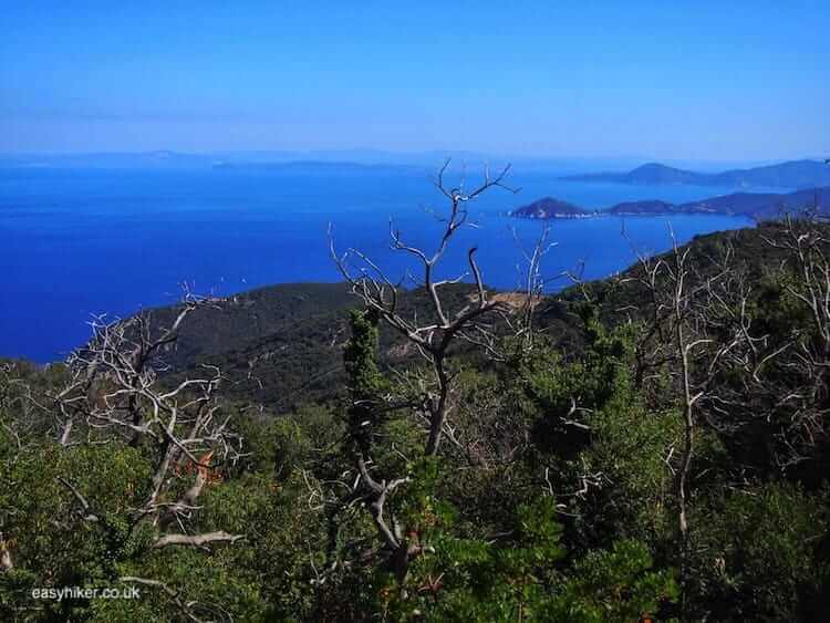 "coastal views of the easy hikes in Elba"