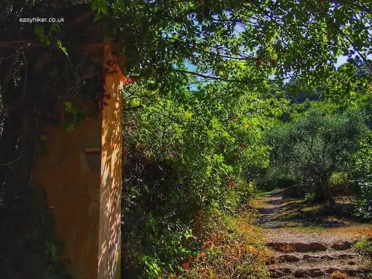 "walk on the wild side of Nice in Parc Vinaigrier - olive plantations"