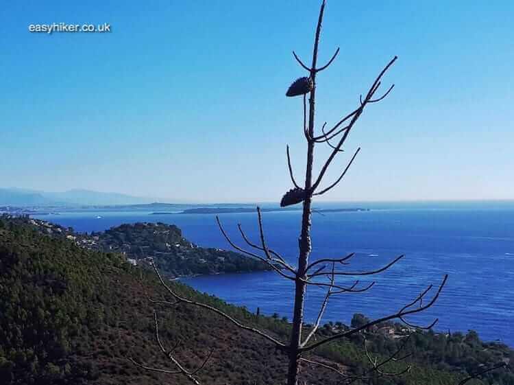 "sea view while hiking the red rocks of the Riviera"