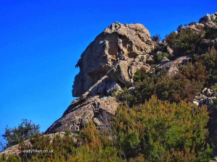 Go Easy Hiking in Elba into the Heart of Lushness