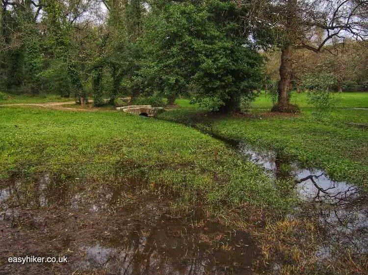 "the park of Vaugrenier - ugly duckling from Villeneuve-Loubet"