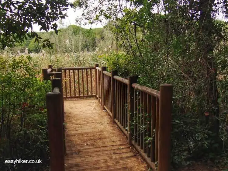 "bird watcher area in Vaugrenier - ugly duckling from Villeneuve-Loubet"