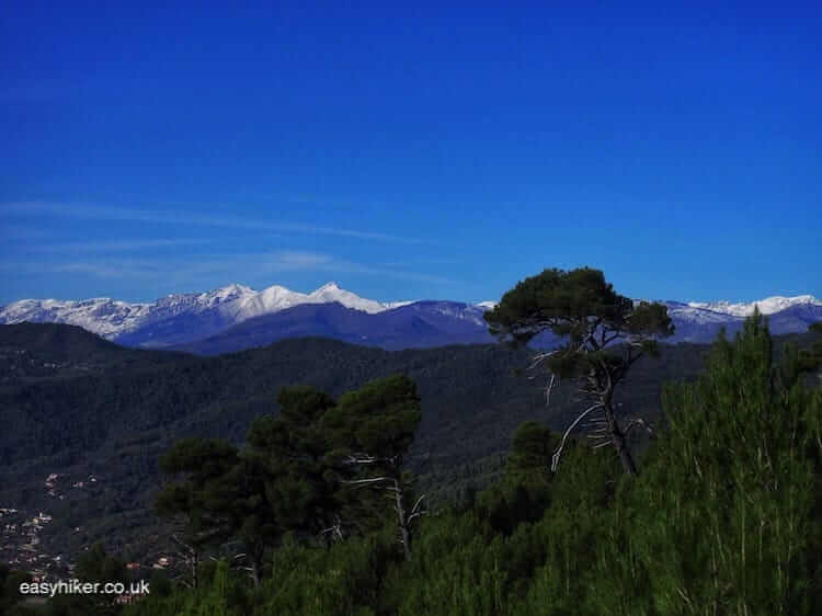 "the alps on the peak of Laigueglia"