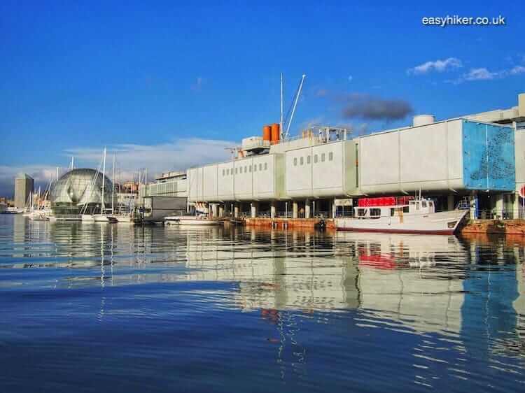 "Aquarium of Genoa a gift that keeps on giving"