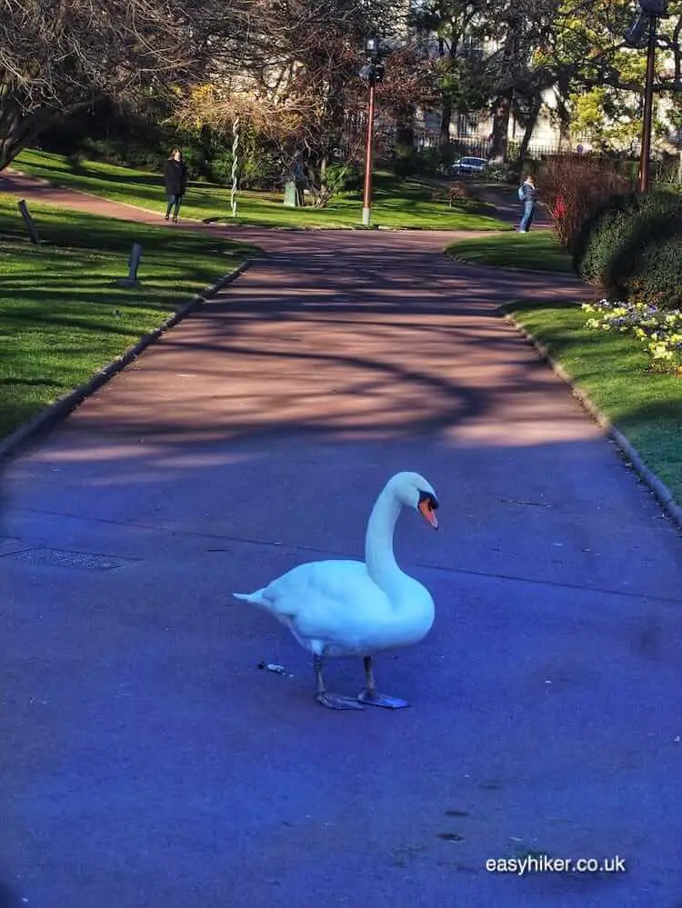 "in one of the Two Gardens of Clermont-Ferrand"