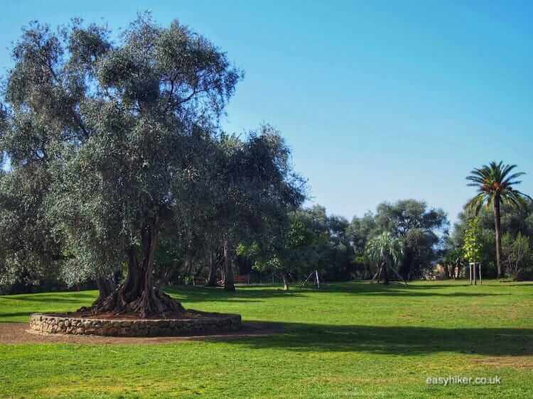 "inside the Parc for Nice for the Short-of-Time"