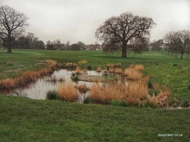 "enjoy nearby parks - Hiking in the Time of the Coronavirus"