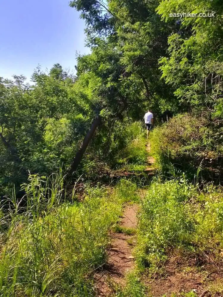 "trail of first post-covid 19 walk a success"