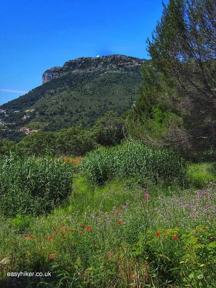 "View Monaco from the Mont des Mules - Tete de Chien peak"