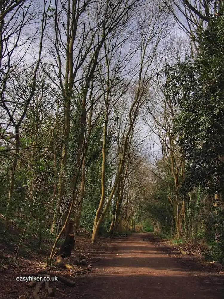 "London Parkland Walk: Town Or Country"