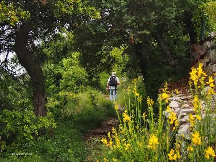 "on the way to the Ruins of Old Aspremont"