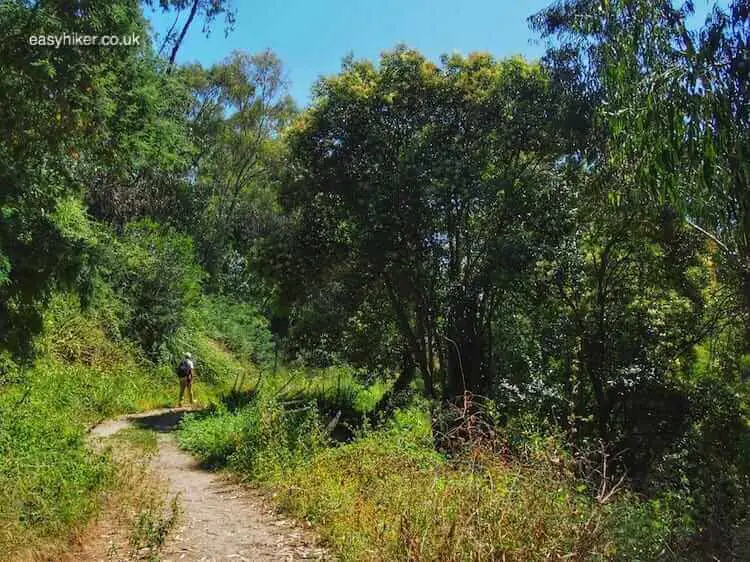 "finding a Little Piece of Paradou Near Cannes"