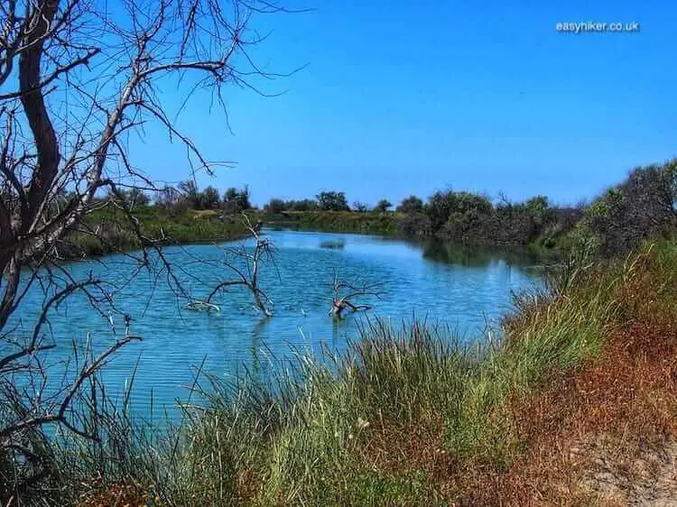 "the Wild Marshlands of the Camargue"