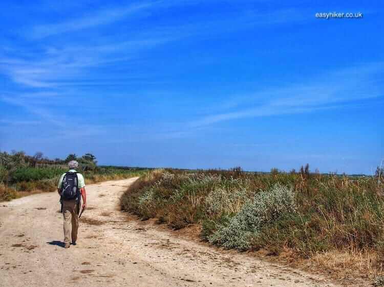 The Holy Maries, the Flamingoes and the Wild Marshlands of the Camargue