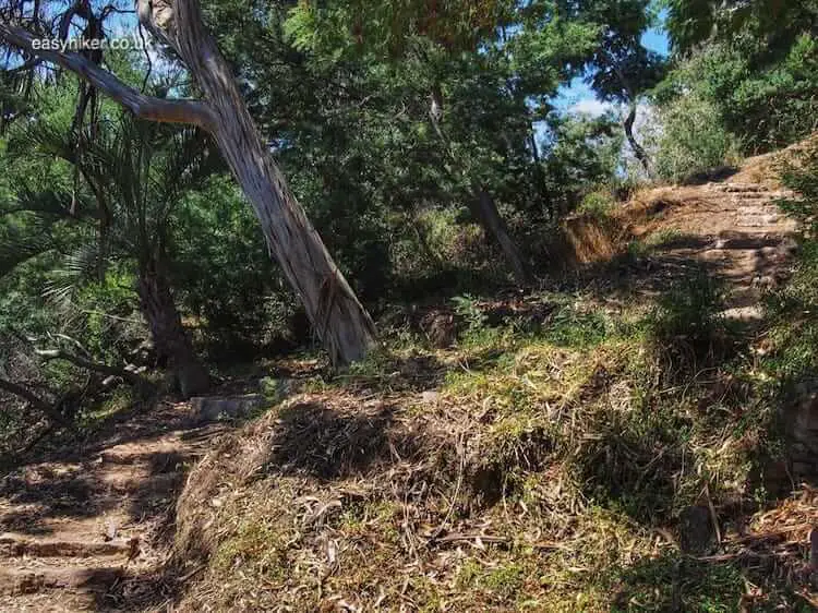 "the way to a Little Piece of Paradou Near Cannes"