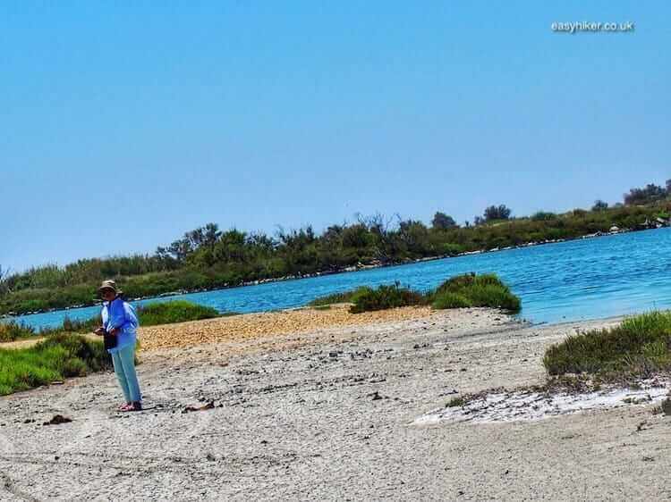 "walking along the wild marshlands of the Camargue"