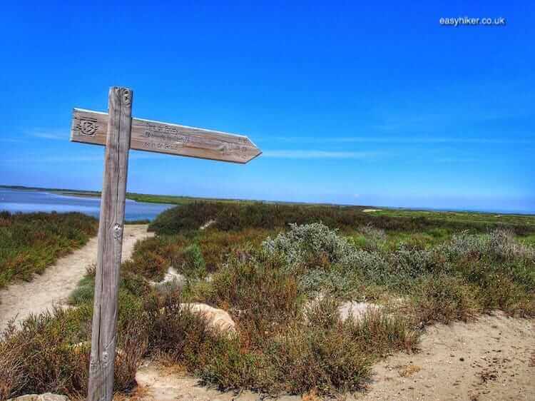 "some trails along the wild marshlands of the Camargue"