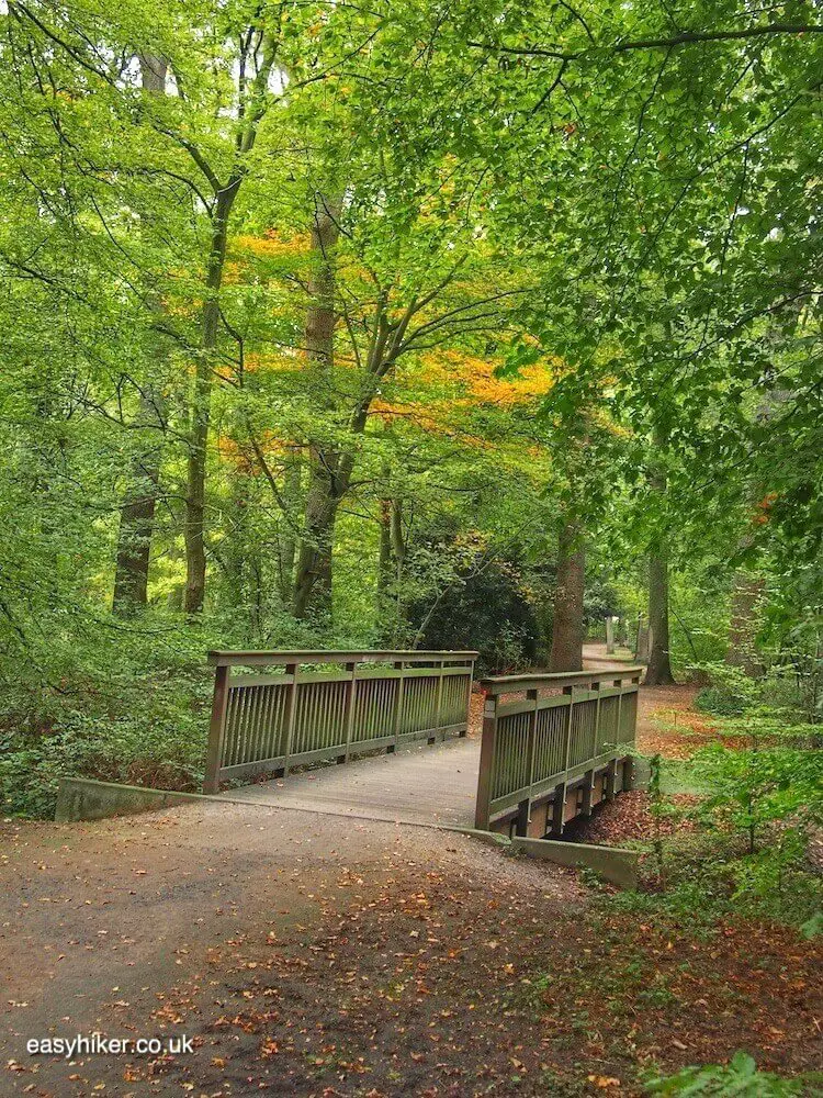 "Autumn Rhythm in city parks"