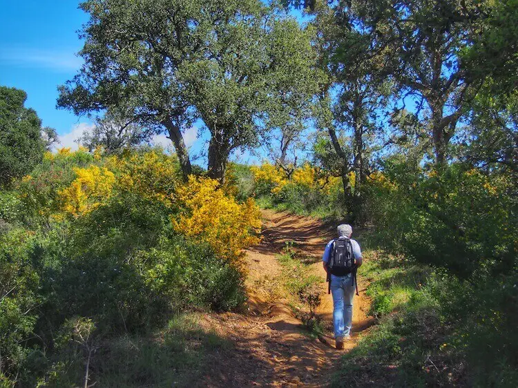 Back to Hiking – and the Red Rocks of the Riviera