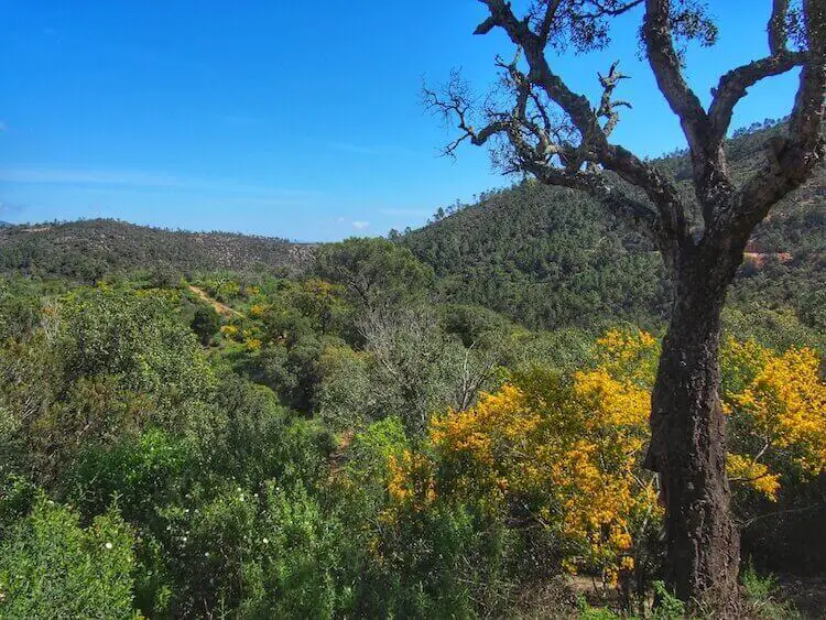 "Back to Hiking - France"