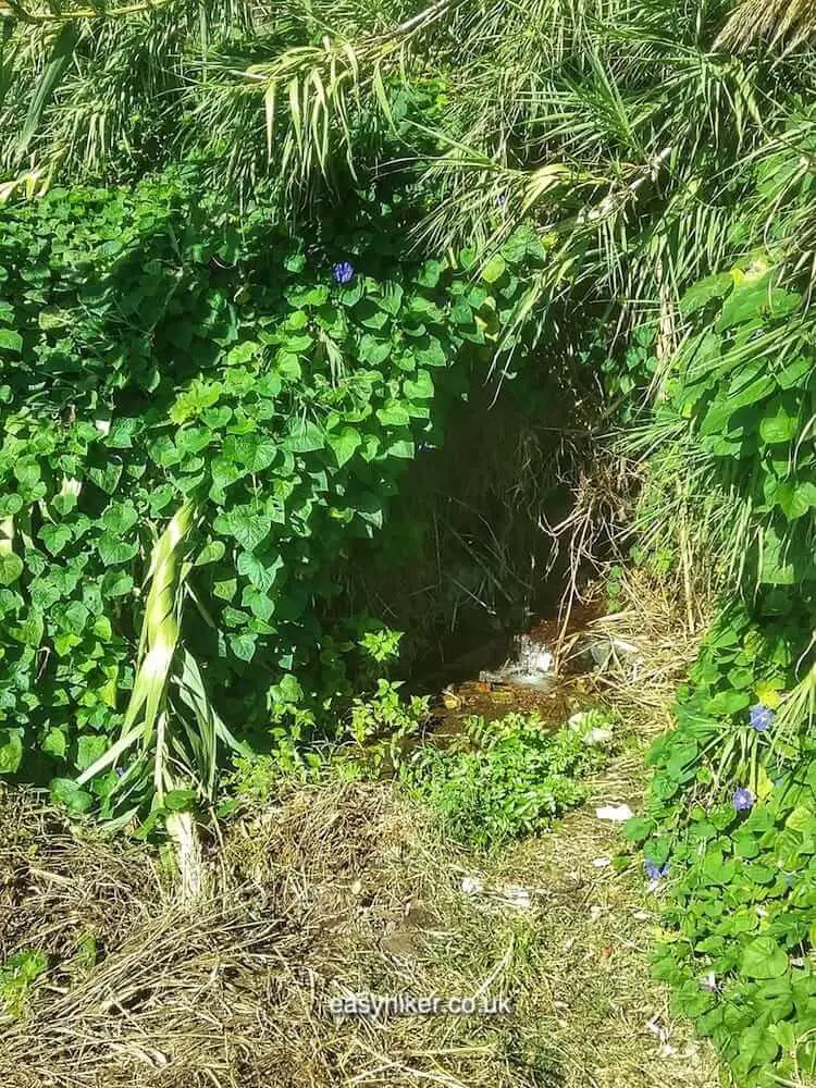 " water source in Lesson in Sicilian History"