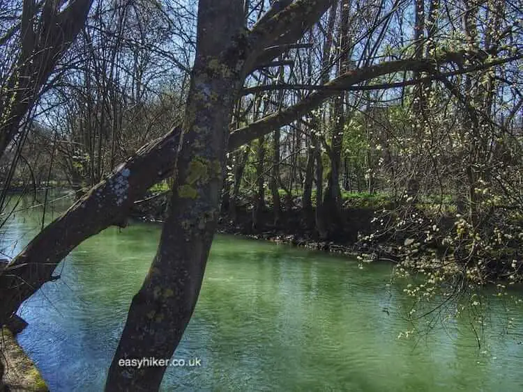 "almost end of Dijon’s Favourite Easy Hiking Trail"