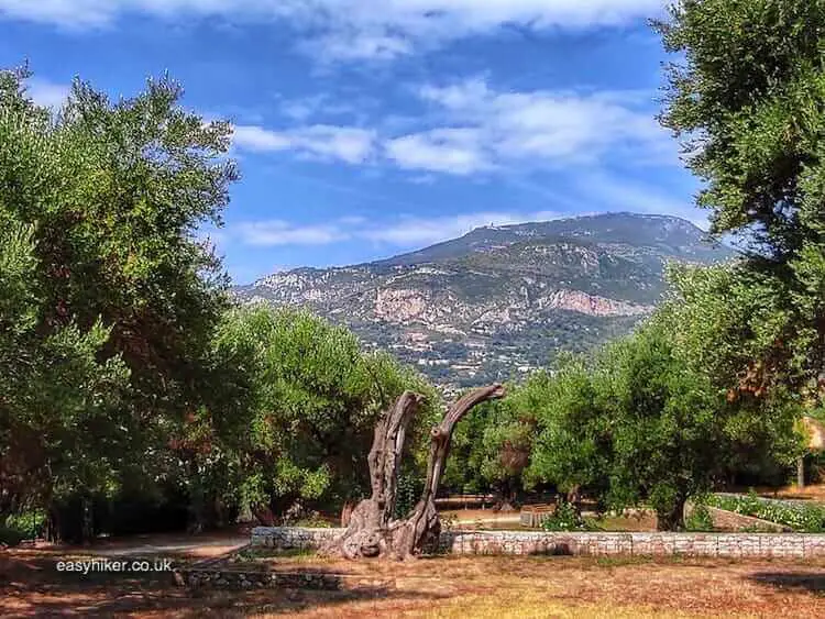 "a bit History in the Parc du Cap Martin"