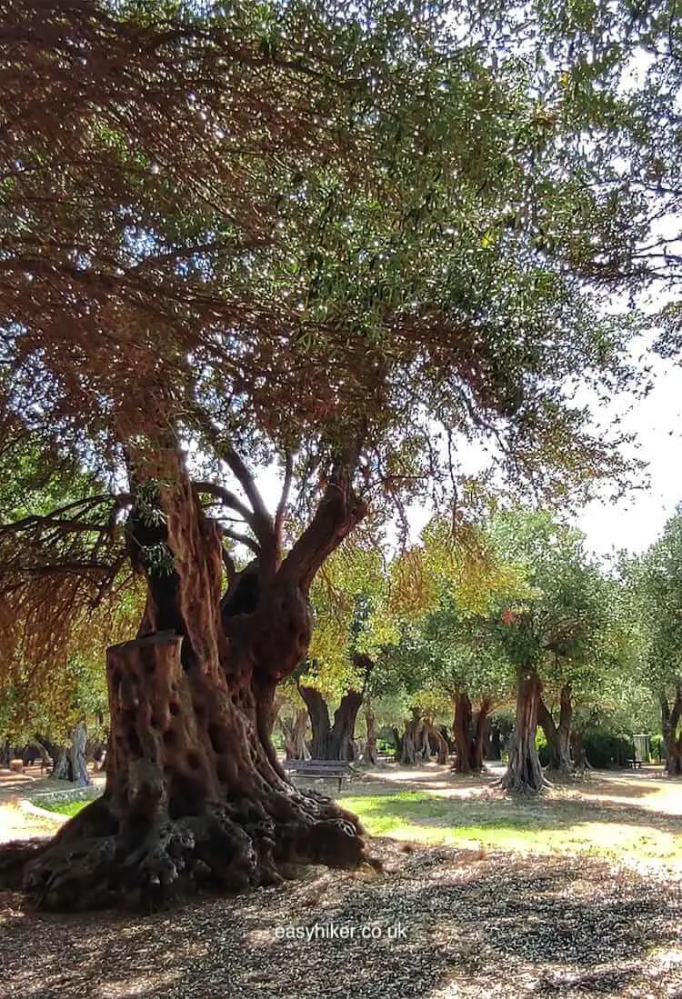 "some 2000 Years of History in the Parc du Cap Martin"