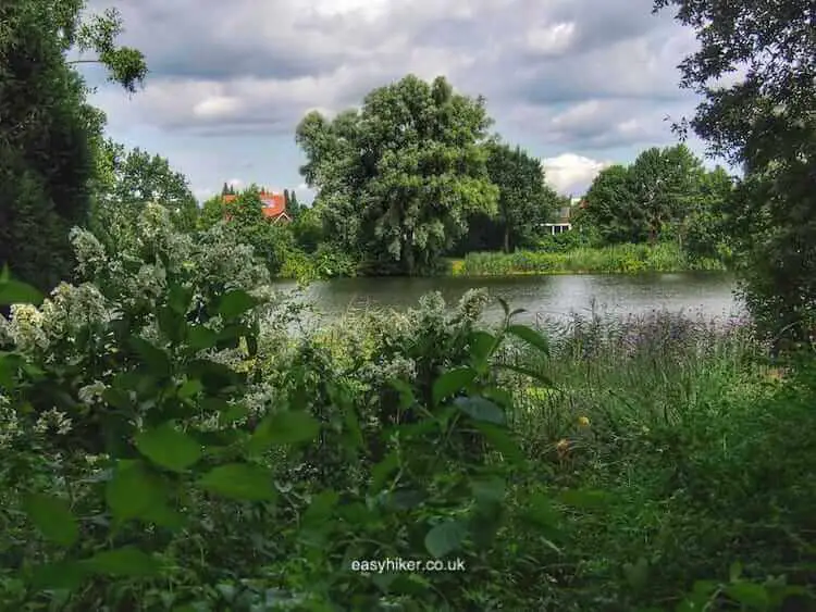 "Leisurely Canter Through Warendorf