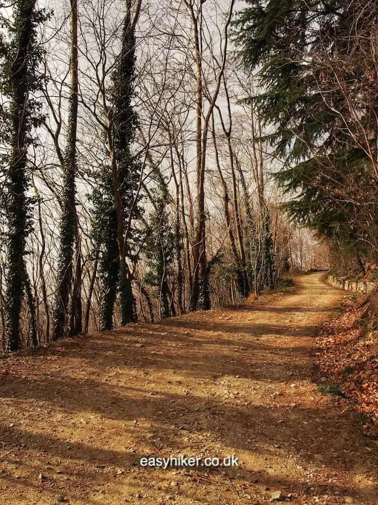 "Into The Woods: The Baradello Tower of Como"