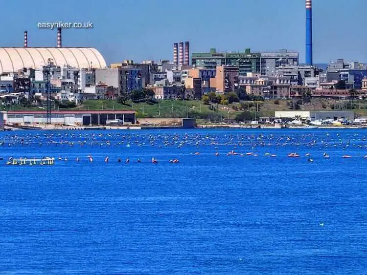 "Down to the Pretty-Gritty of Taranto"