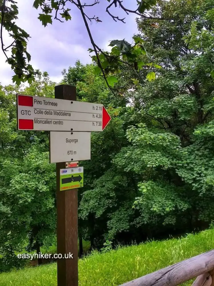 "A Hill With a View in Turin"