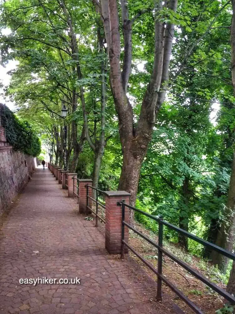 "A Hill With a View in Turin"