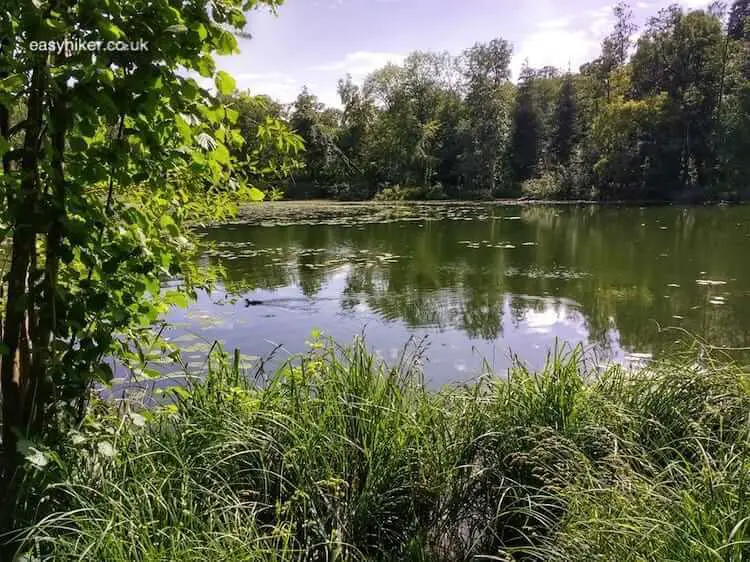 A Visit to the Lakes of Bad Waldsee