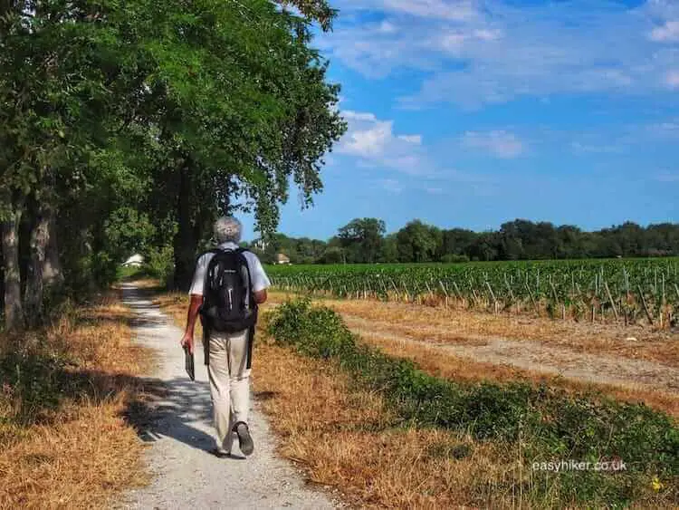 "Bordeaux and Its Wines"